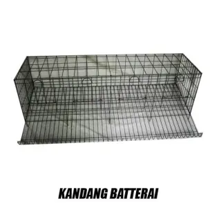 Kandang baterai