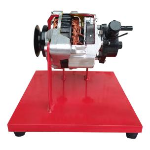 Alternator (Cutting Section)