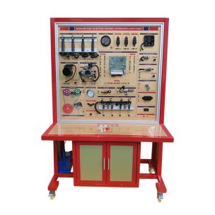 Gasoline Fuel Injection Control System with Auto Fault