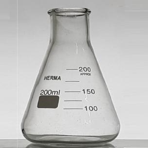 Erlenmeyer