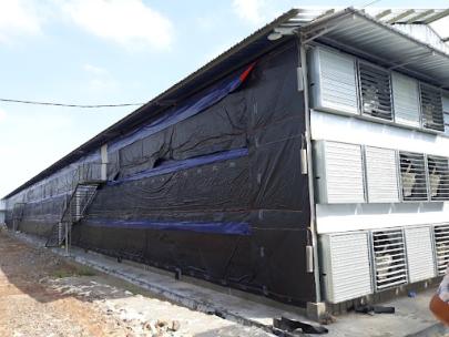 Kandang Tertutup untuk Ayam Pedaging
