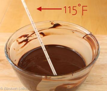 Chocolate Temperin