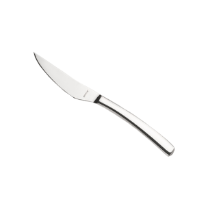 Steak knife
