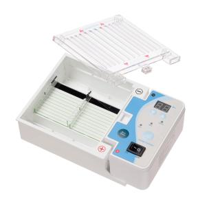 Minigel Electrophoresis System