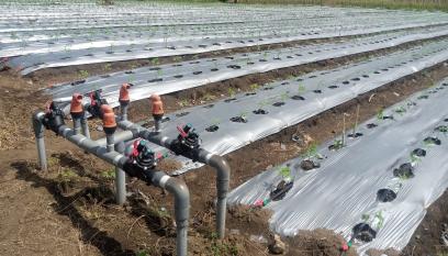 Paket instalasi sistem irigasi tetes